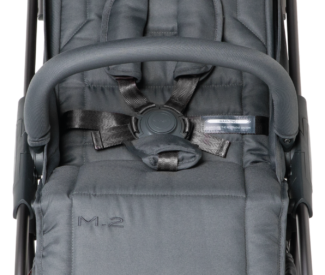 MASTSWISS PASSEGGINO M.2 - immagine 5