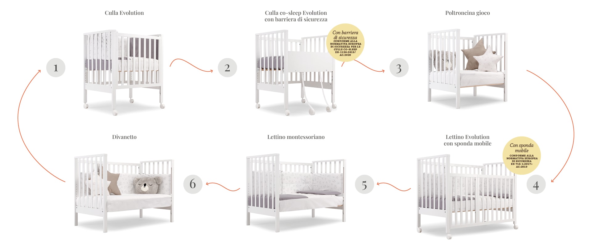 Evolution_slide_1920x8006-2