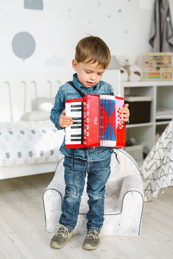 FREE2PLAY FISARMONICA - immagine 2