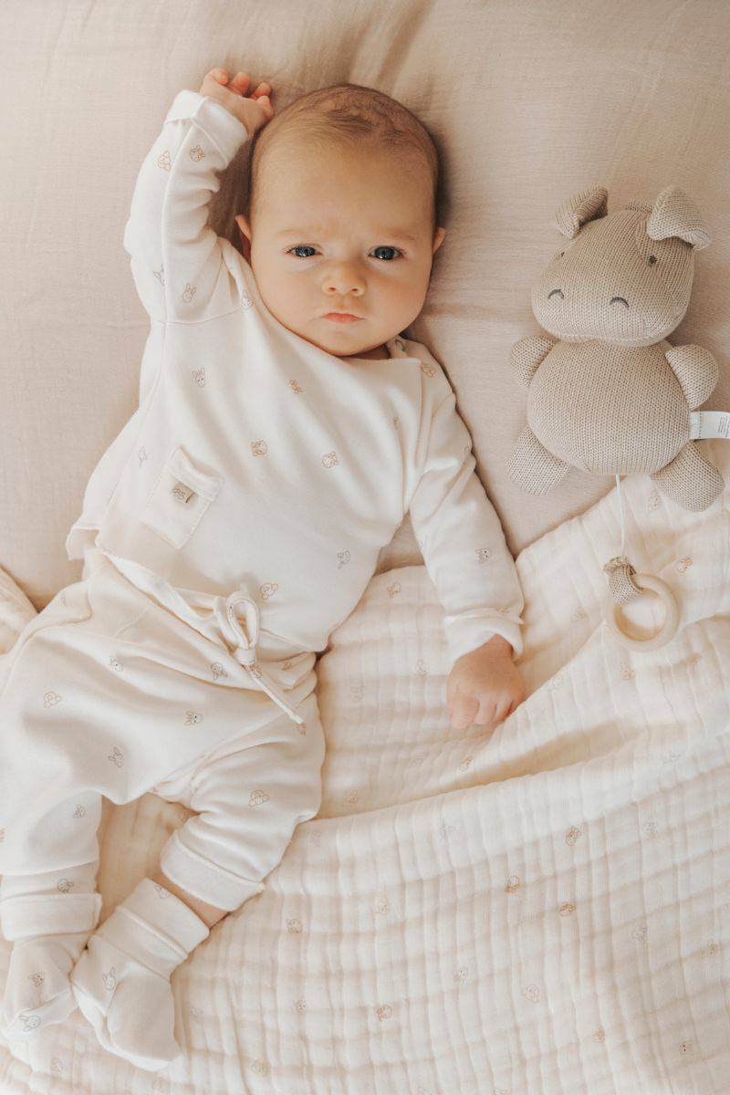 BAMBOOM COPERTA CULLA NUVOLA ANIMAL FRIENDS - immagine 4