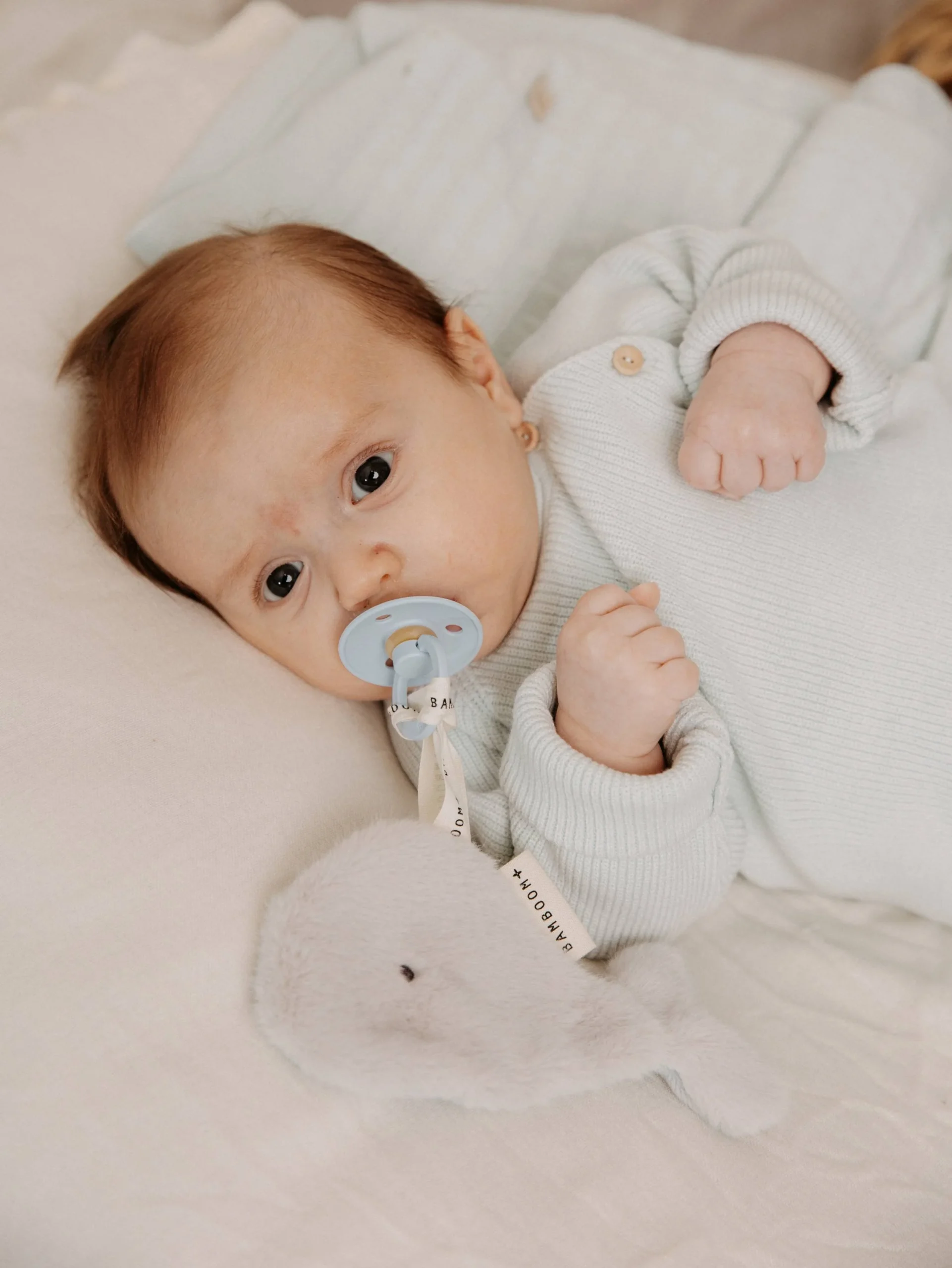 BAMBOOM PORTACIUCCIO PELUCHE BALENA - immagine 2